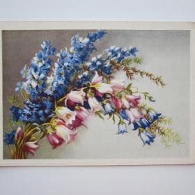 1959г. Открытка Цветы